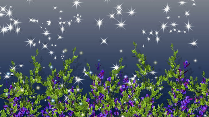 night, wild, blooms, 3d and abstract Free HD Wallpaper