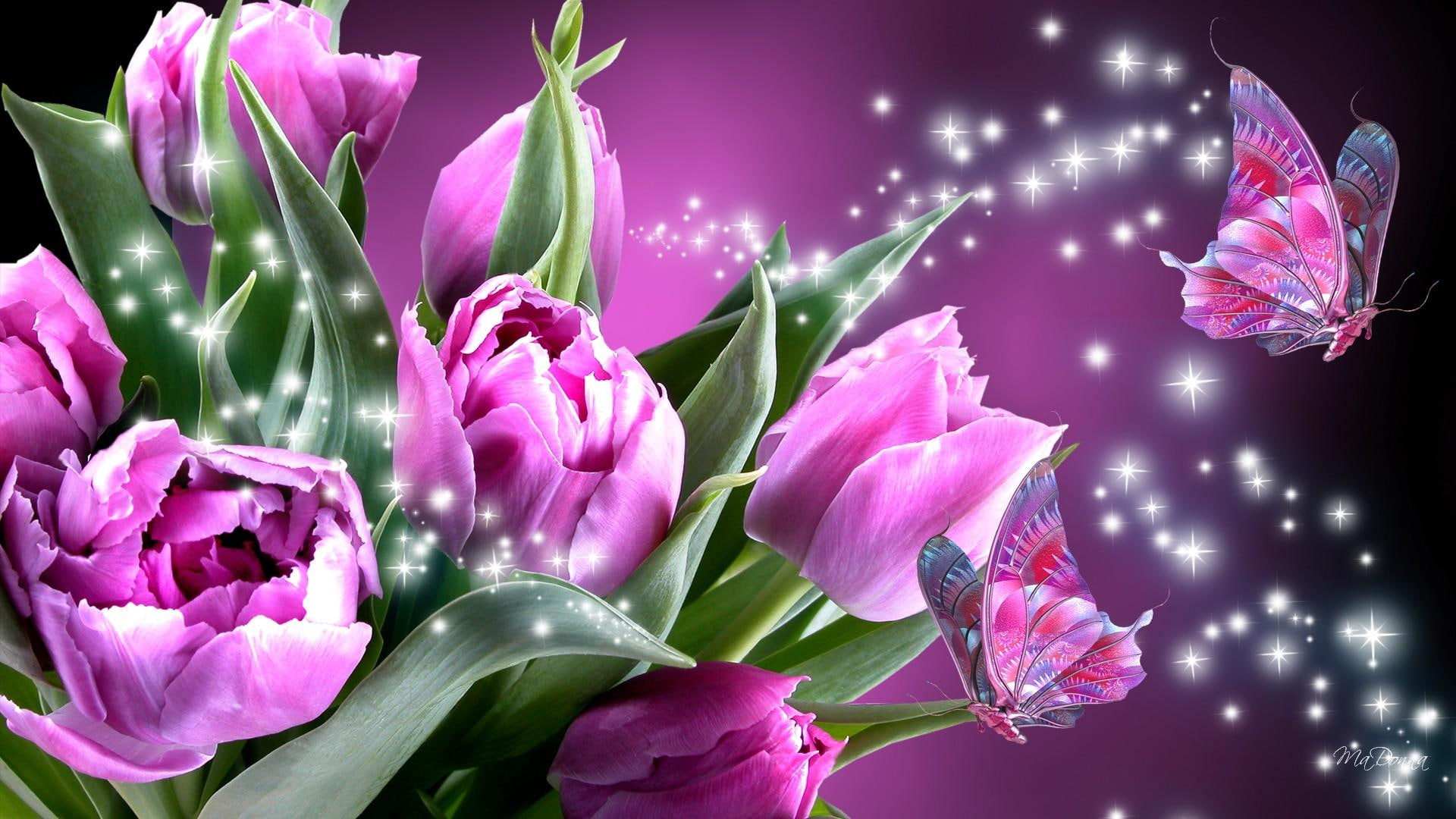 Pink Butterfly Wings, butterfy, pink, purple, summer