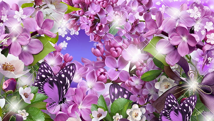 Purple Orchid Flower, lilac, purple flower, cosmos, artistic Free HD Wallpaper