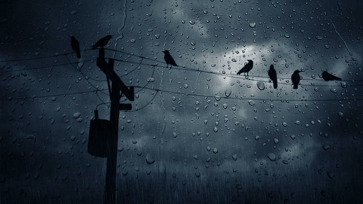 Rain, water drops, rain, cloud, sad Free HD Wallpaper