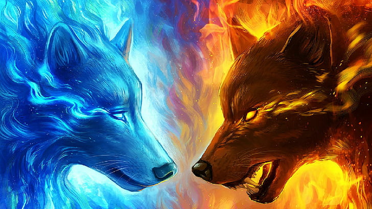 Red and Blue Fire HD, abstract, fire, animals, red Free HD Wallpaper