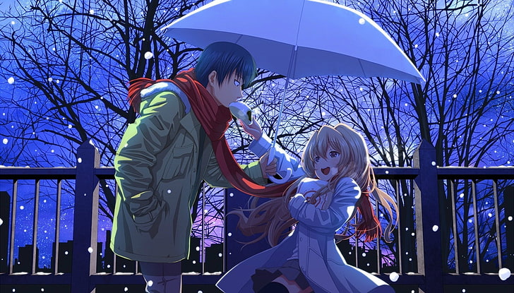 Romantic Comedy Anime, child, toradora, adult, bonding Free HD Wallpaper