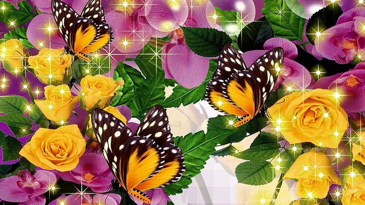 rose, butterfly, yellow flower, orchid Free HD Wallpaper