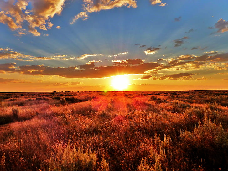 Summer Sunset Field, outdoors, scenics, sunrise  dawn, yellow Free HD Wallpaper