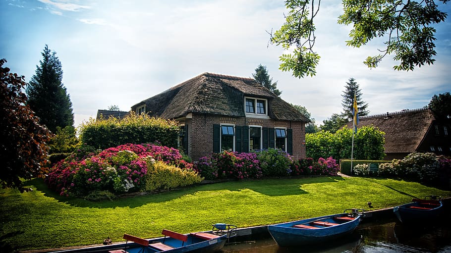 Venice of the North, scenic, lake, plant, ornamental garden