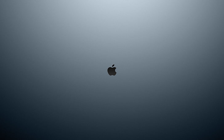 Apple MacBook Pro Logo, one animal, no people, night, vertebrate