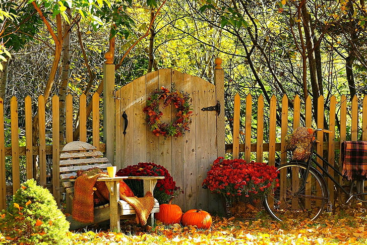 Autumn Coffee Mugs, trunk, autumn, tree trunk, thanksgiving Free HD Wallpaper