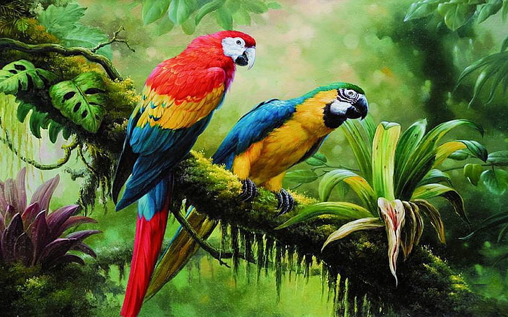 Birds of Rainforest, macaw, vertebrate, outdoors, animal wildlife Free HD Wallpaper