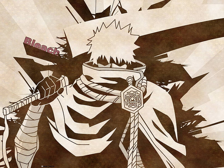 Bleach Ichigo Kurosaki, representation, no people, kurosaki, government Free HD Wallpaper