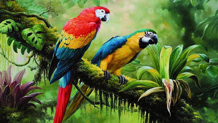 Brazilian Birds, forest, animals in the wild, beauty in nature, nature Free HD Wallpaper