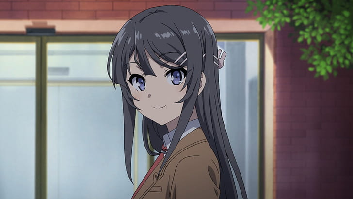 Bunny Girl Senpai Phone, grey hair, school uniform, mai sakurajima, rascal does not dream of bunny girl senpai