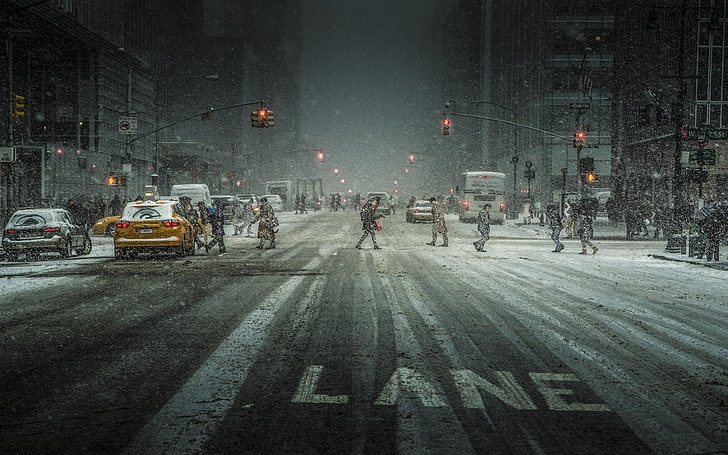 City Street Trees, times square  manhattan, motor vehicle, blizzard, rush hour