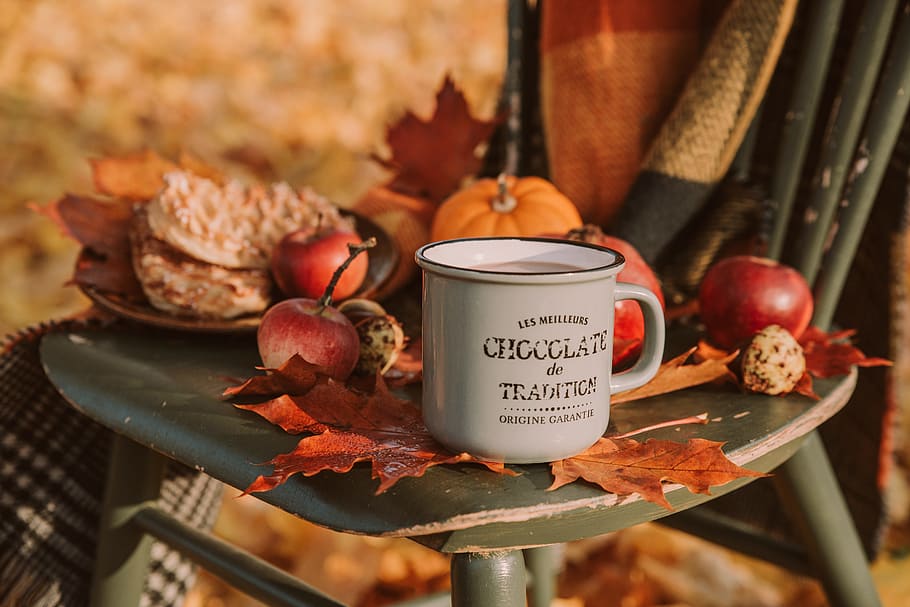 Cozy Fire Pit, nature, pumpkin, healthy eating, food and drink