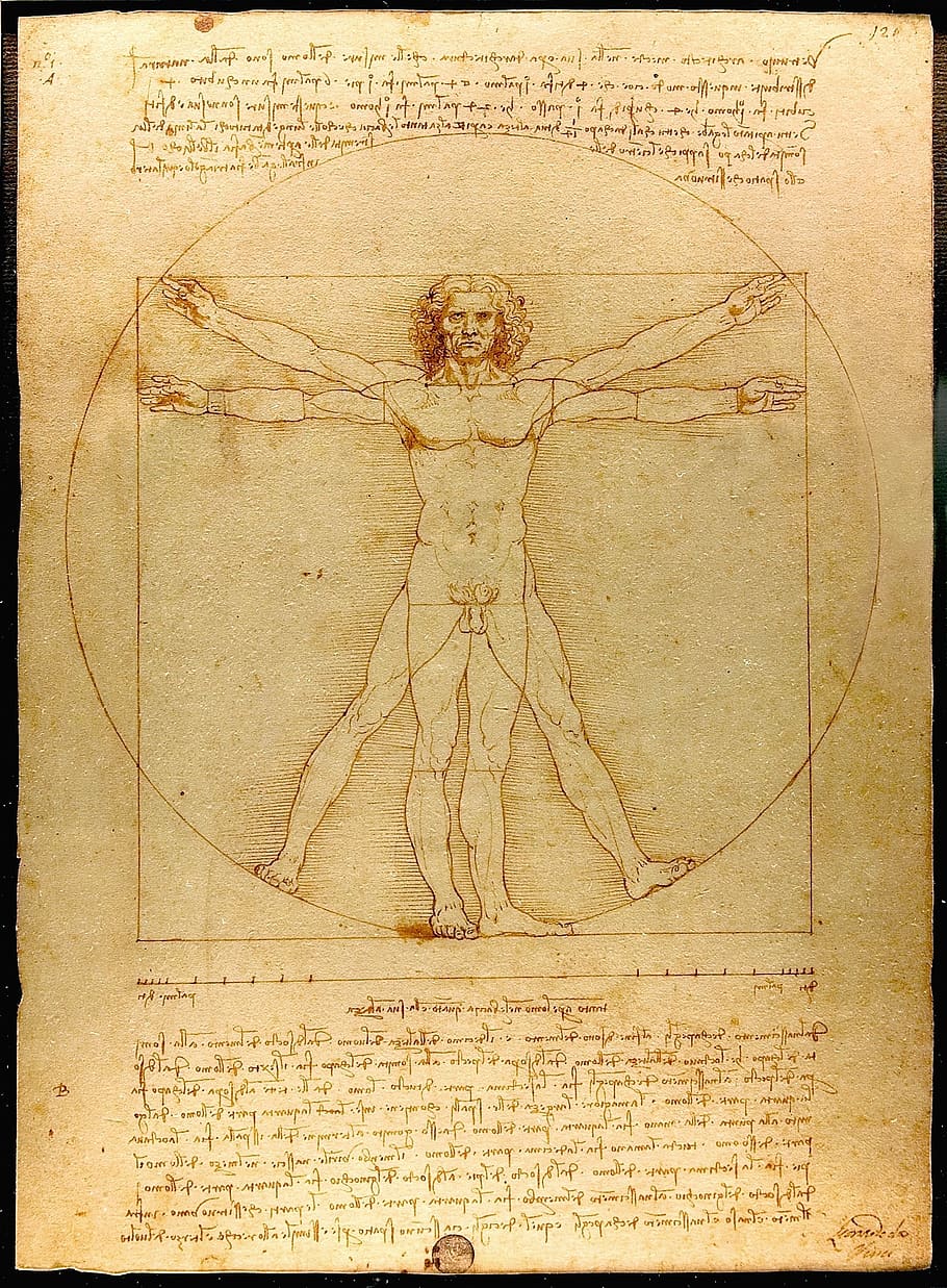 Da Vinci's Man, no people, document, page, dirty