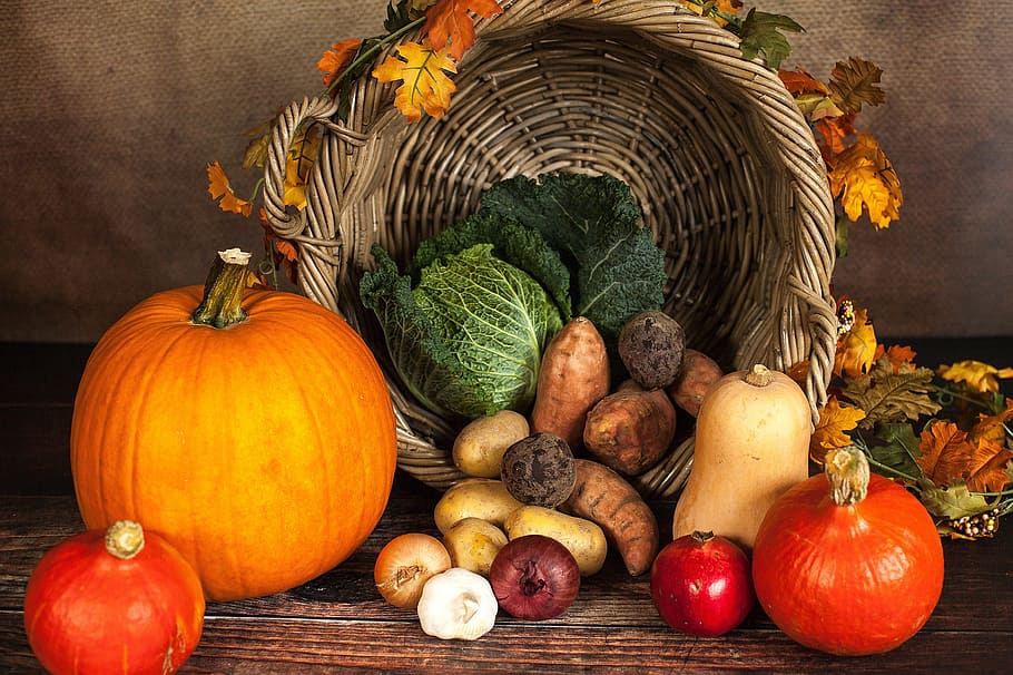 Feast of Harvest, november, nature, leaf, rustic