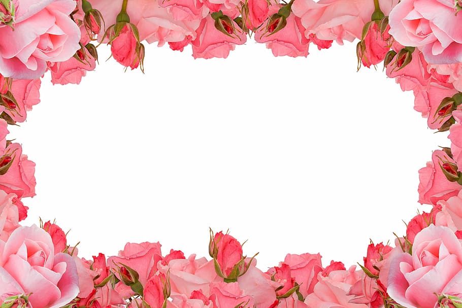 Flower Frame PSD, holiday, card, floral pattern, flowering plant Free HD Wallpaper