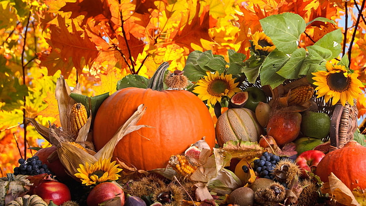 Google Fall, fall, thanksgiving, decoration, patch Free HD Wallpaper