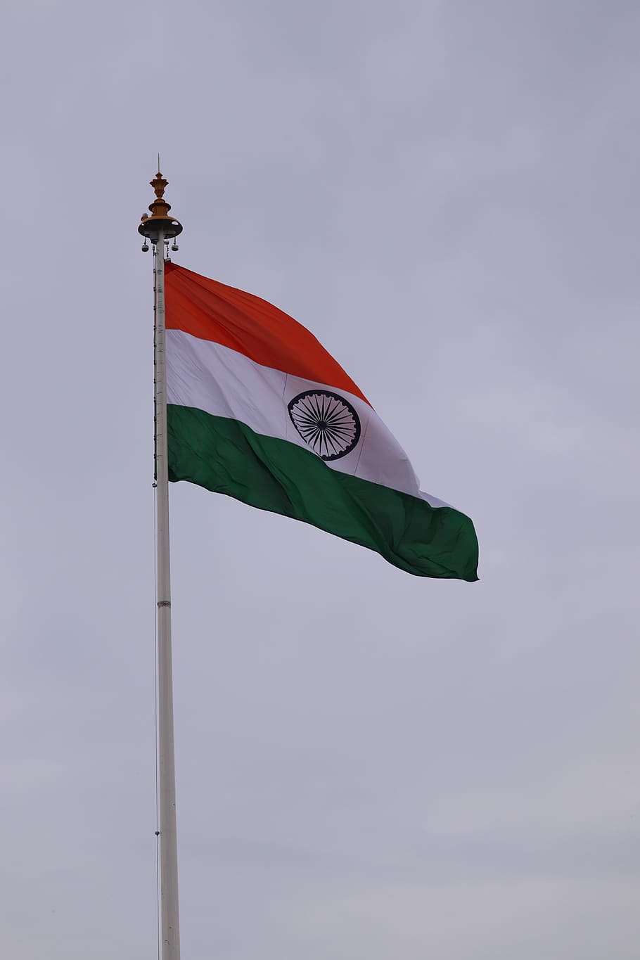 Indian Flag Drawing, waving, low angle view, standing, contemplate