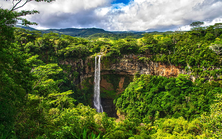 Jungle Landscape, waterfall, nature, forest, jungle