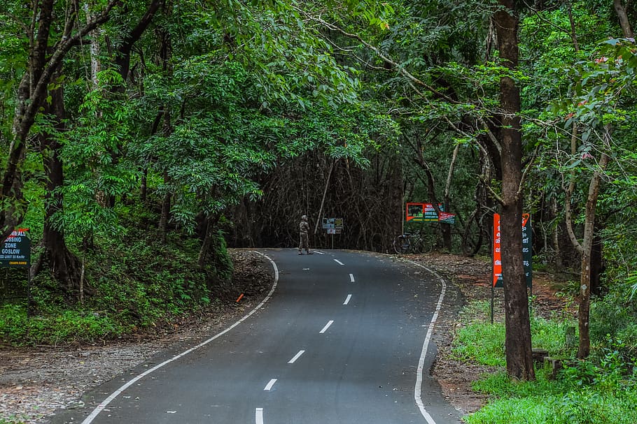 Kerala HD, the way forward, no people, road marking, land
