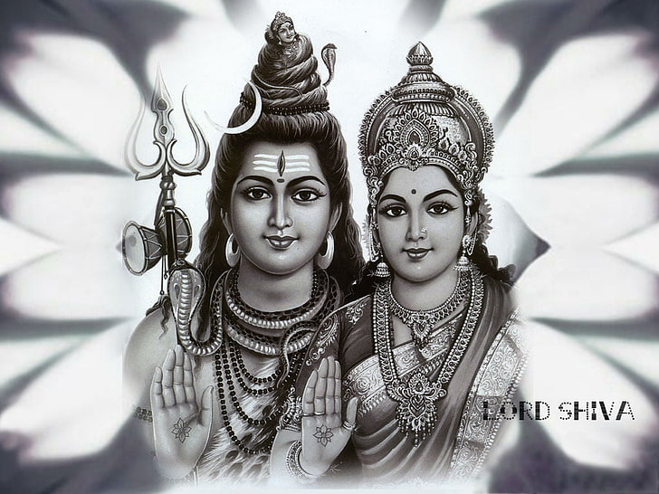 Lord Shiva Vector, raddha, women, luxury, ornate Free HD Wallpaper