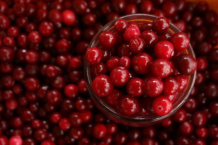 Mabon, thanksgiving, berries, color image, large group of objects