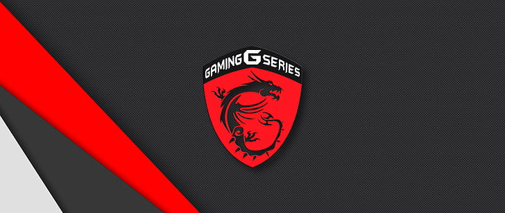 MSI Gaming, carbon fiber, msi, gaming series Free HD Wallpaper