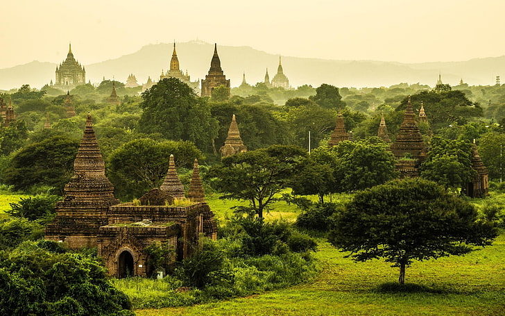 Myanmar Landmarks, jungle, plant, ancient civilization, archaeology Free HD Wallpaper