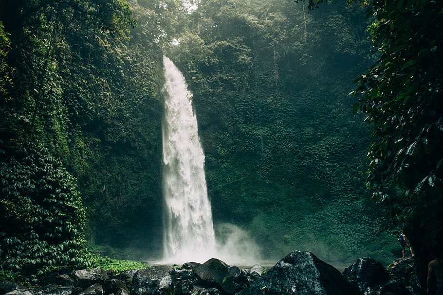 Nature Jungle, blurred motion, sea, falling water, long exposure Free HD Wallpaper