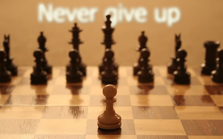 Never Give Up Mouse, board game, pawn  chess piece, arts culture and entertainment, focus on foreground Free HD Wallpaper