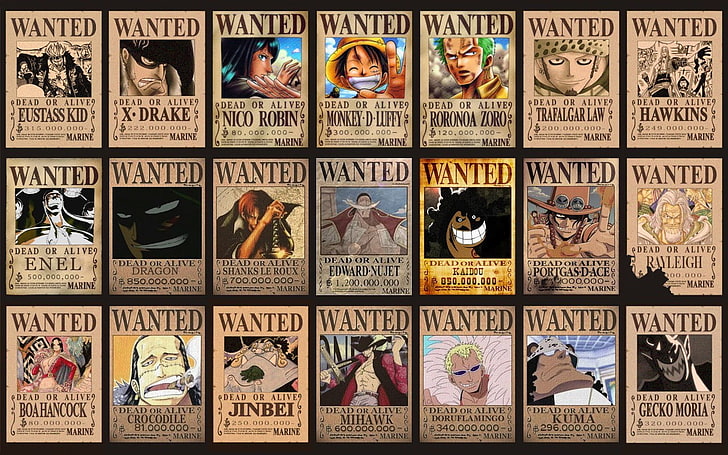 One Piece Wanted Poster, variation, indoors, one, monkey d luffy