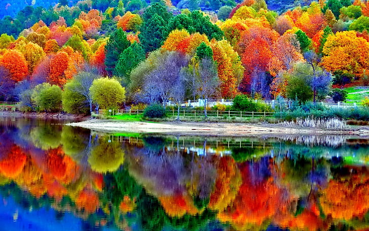 Pretty Fall Scenery, lake, forest, water, nature Free HD Wallpaper