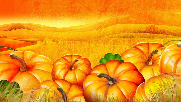 Pumpkin Patch Decor, halloween, 3d and, fall, field
