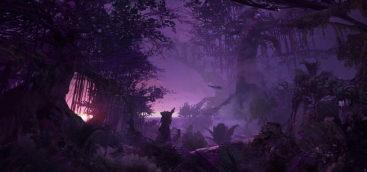 Purple Forest Scotland, tree, plant, tranquil scene, landscape