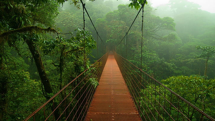 Quepos Bridge Costa Rica, rain, nature, trees, forest Free HD Wallpaper