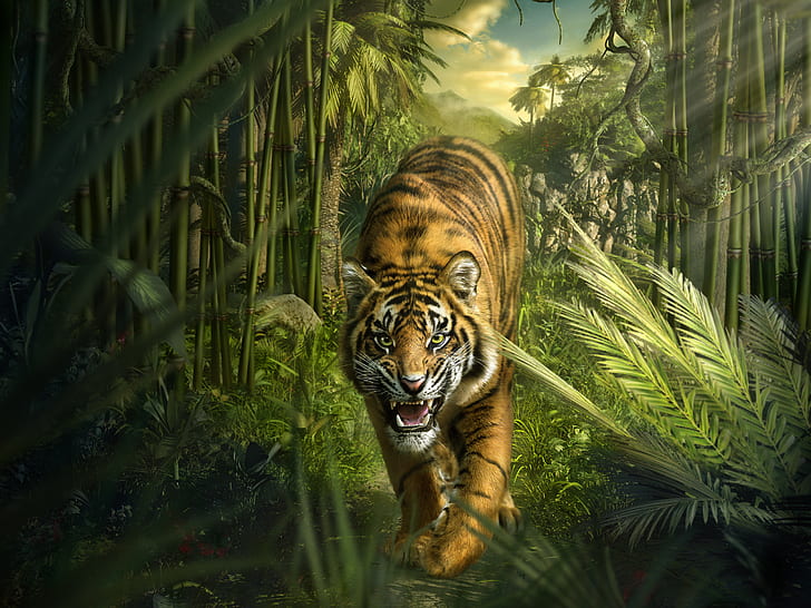 Sleeping Tiger Drawing, Jungle, jungle, tiger, bamboo Free HD Wallpaper