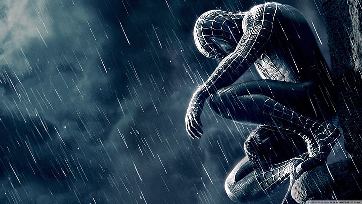 Spider-Man 3 Logo, water, blurred motion, rain, nature