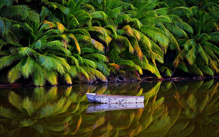 Stranded On a Tropical Island, australia, reflection, beauty in nature, scenics  nature