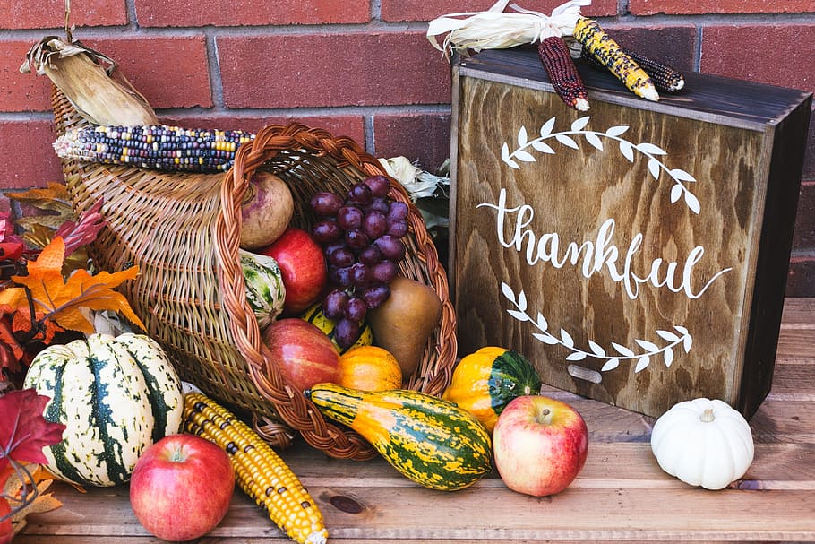 Thanksgiving Invitation, onion, freshness, text, still life