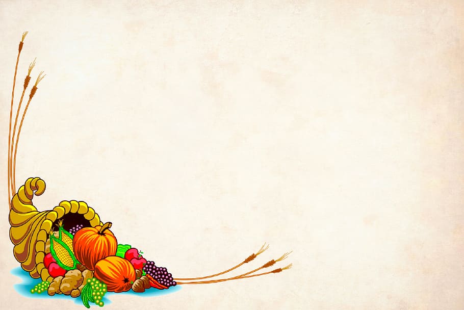 Vintage Pumpkin Illustration, november, art and craft, traditional, holiday Free HD Wallpaper