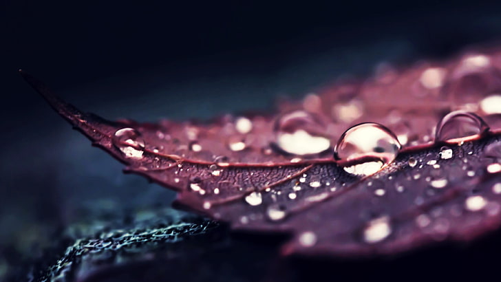Water Drop HD, textile, rain, dew, closeup