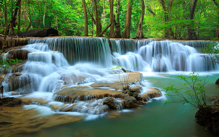 Waterfall Pics, photo, tree, deep, growth Free HD Wallpaper