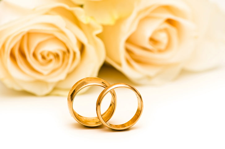 Wedding Rings Blue, gold colored, white color, wedding rings, rose  flower Free HD Wallpaper