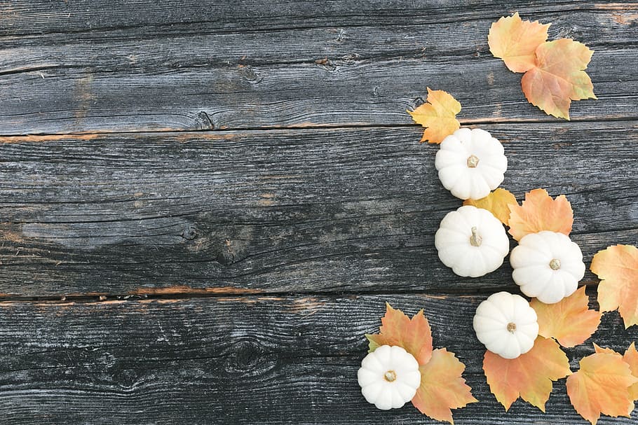 Woodworking, flatlay, still life, pumpkins, leaves Free HD Wallpaper