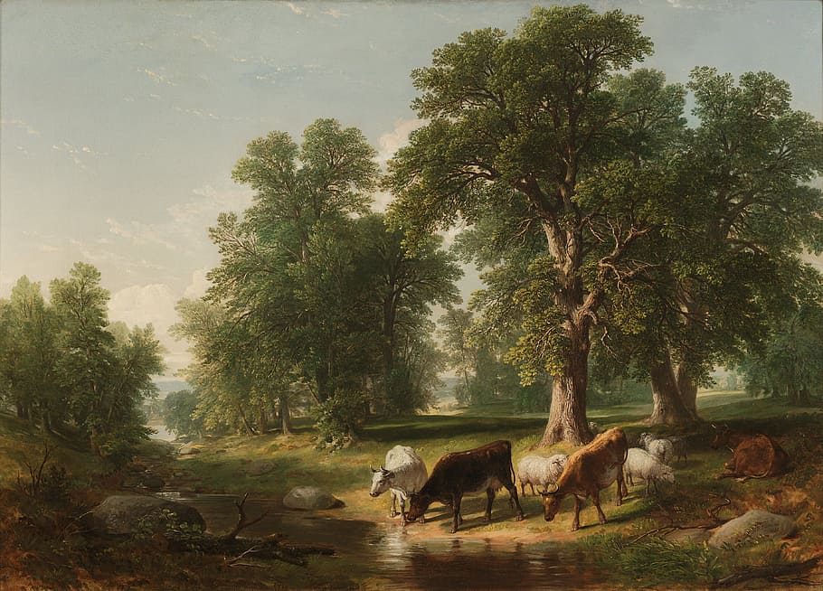 Asher Brown Durand Signature, domestic animals, animal themes, art, growth Free HD Wallpaper