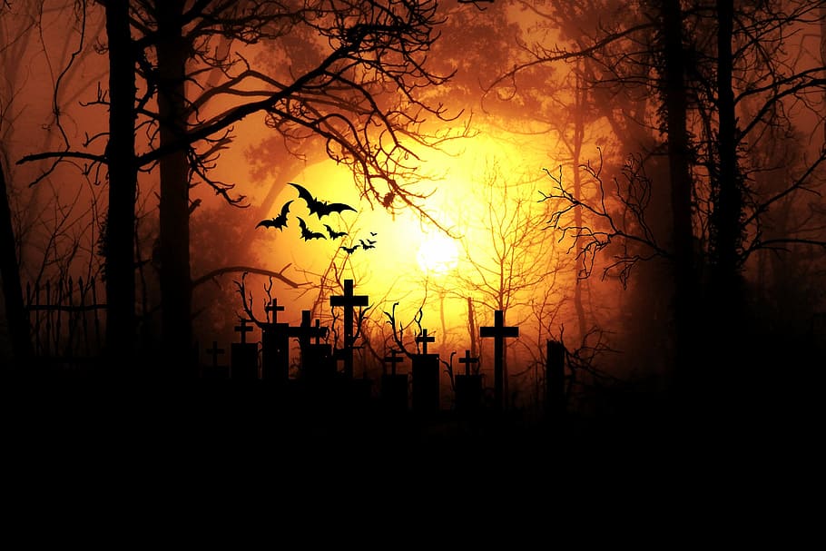 autumn, weird, dark, creepy Free HD Wallpaper