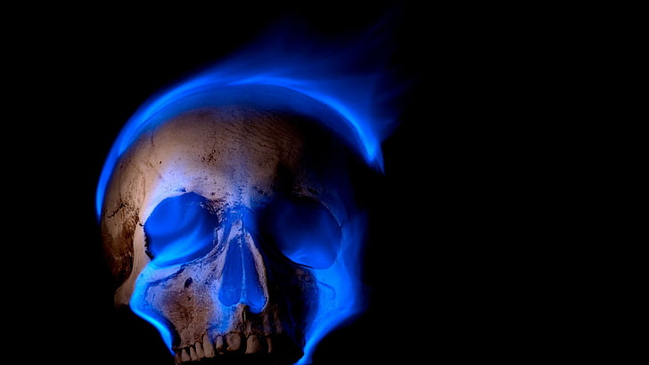 Blue Skull, technology, fear, copy space, indoors Free HD Wallpaper