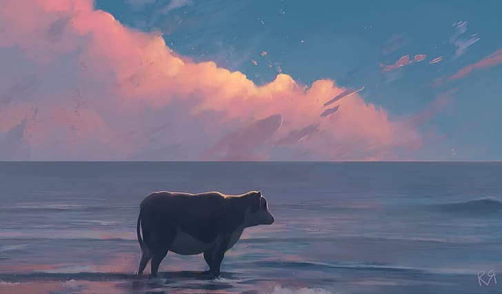 cow, sea Free HD Wallpaper