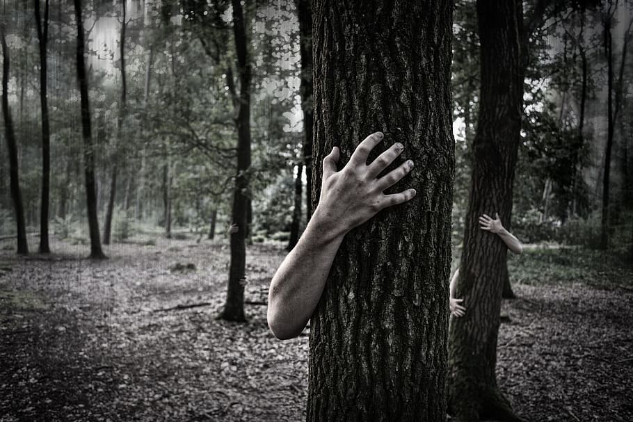 Creepy Forest Drawing, horror, one person, woodland, zombies Free HD Wallpaper