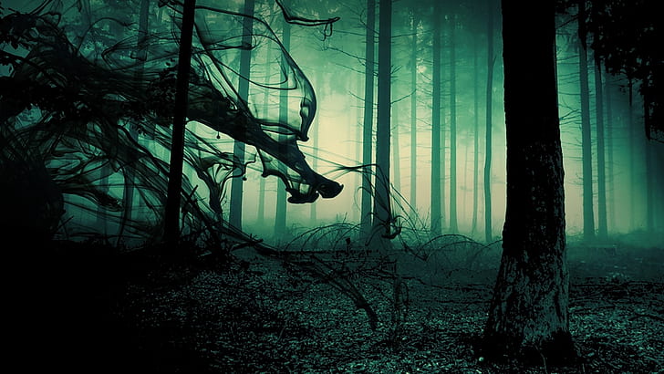 Creepy Forest Fog, sunlight, mood, trees, psychedelic Free HD Wallpaper